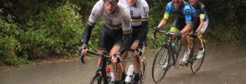Ronde in Vlaanderen